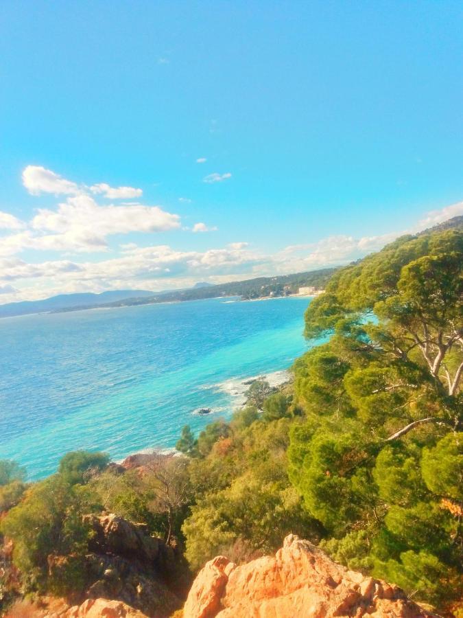 Residence Golfs De Valescure 9 Saint-Raphaël Kültér fotó